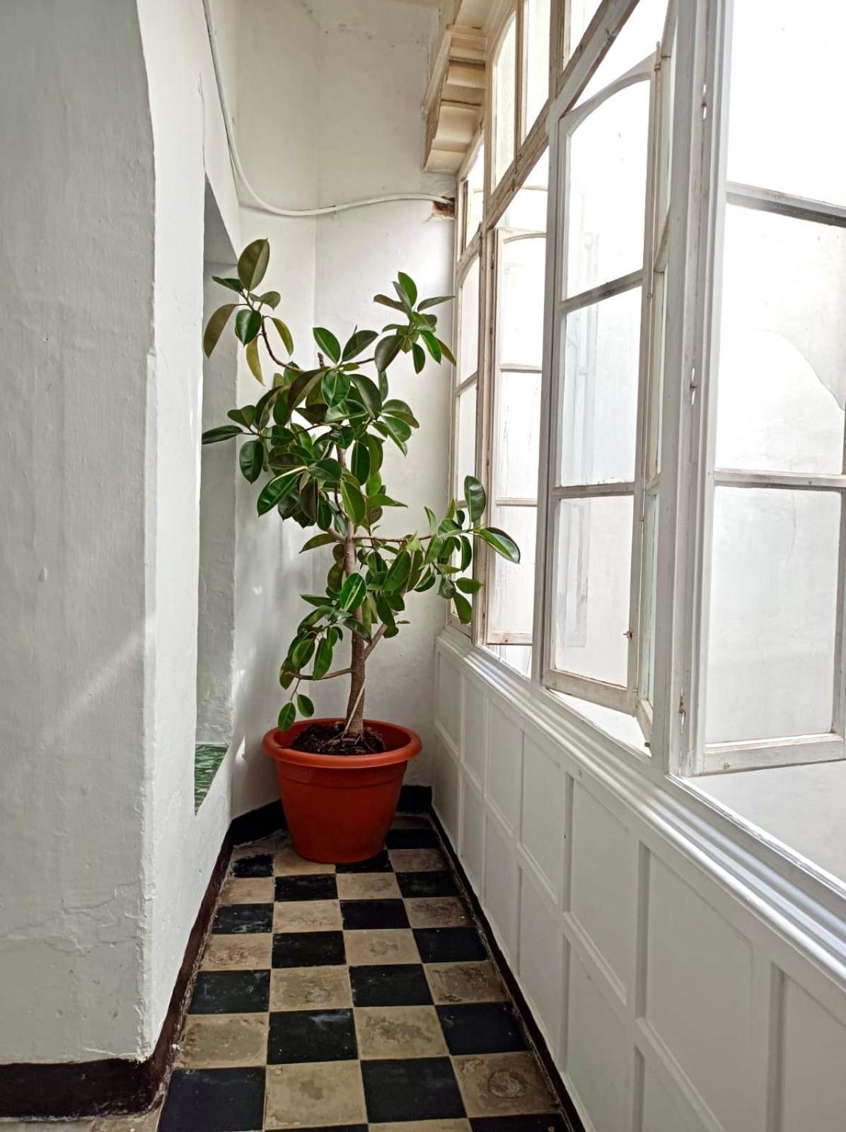 Precioso Apartamento: La Luz De Cadiz Ngoại thất bức ảnh